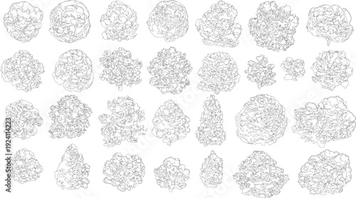 Collection of abstract organic shapes with irregular outlines and internal divisions. various sizes and forms