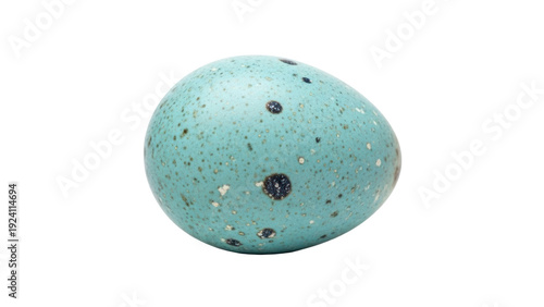 Canvastavla Isolated speckled bird egg closeup for easter season and other themes