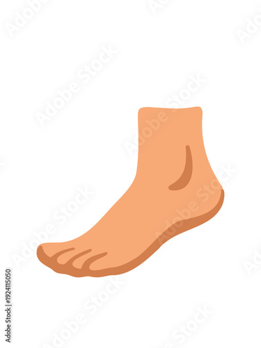 human foot isolated on white background close up