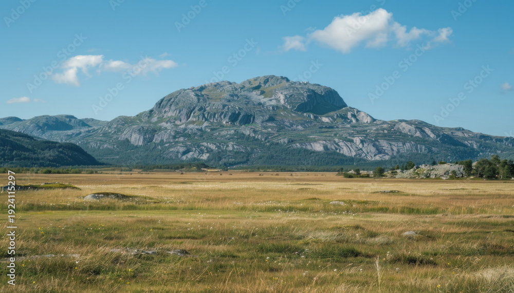 Obraz premium Majestic green mountain rises above golden grass fields under a clear blue sky