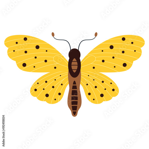 yellow butterfly in flat style