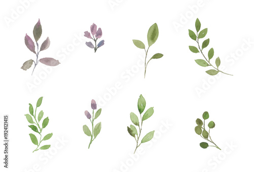 Assortment of watercolor leaves illustration set - green leaf branches collection for wedding, greetings, stationary, wallpapers, fashion, background. olive, green leaves, Eucalyptus etc