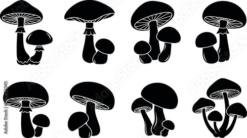 Microbiology Icon Set Featuring Bacteria Viral Cells Pathogens and Microorganisms for Medical Healthcare Science Laboratory Research Disease Education and Biological Studies