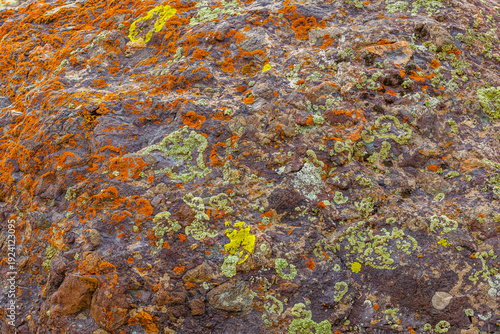 Vibrant lichen in various colors including orange, yellow, and green covers rugged rock surface. This outdoor image captures the beauty and texture of nature during daytime.