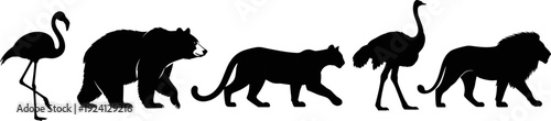 Wild animal silhouettes collection, flamingo bear panther ostrich lion, vector illustration isolated black wildlife icons set on white