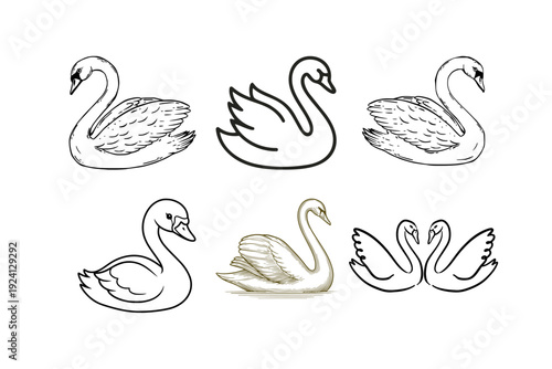 set of black swans, on white background