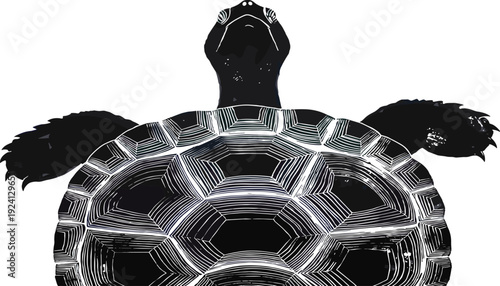 Black turtle shell and head illustration, detailed tortoise carapace pattern for cad drawing flat vector illustration, marine life and reptile nature elements