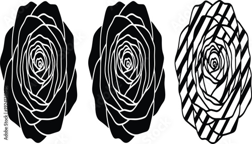 Black rose flower silhouette set with linear details and striped pattern, floral botanical design element, cad drawing flat vector illustration on white