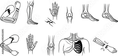 Set of black mushroom silhouettes, fungus icon collection, forest toadstool shapes, organic nature elements, autumn botanical vector, isolated fungal graphics, garden.