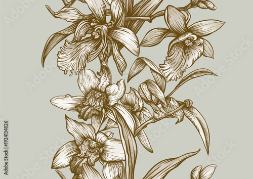 Wallpaper Mural Vanilla orchid seamless coloring page. Botanical outline with hand drawn vanilla flowers branches leaves and pods. Vintage decorative motif for printable kitchen dessert sweet food textile projects. Torontodigital.ca