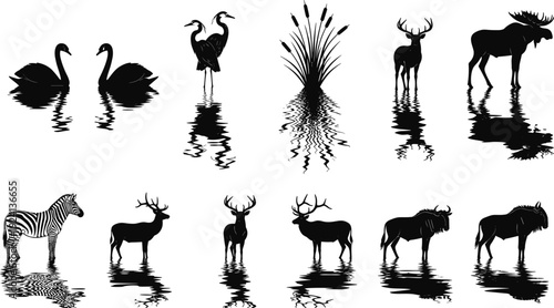 Wildlife animal silhouettes with water reflection including swans heron deer moose zebra and wildebeest isolated black vector illustration set