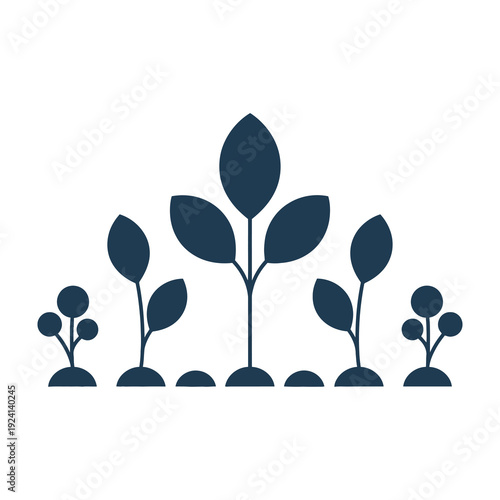 Diverse seedlings growing in a row on white background
