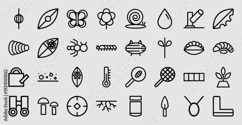 Entomology and botany research elements featuring insect life cycles and plant growth. Minimalist bold monoline icons for educational biology and nature exploration infographics.