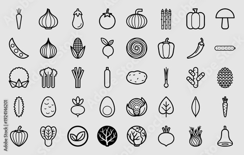 Vegetable and organic produce linear pictograms for healthy eating apps and culinary branding. Professional monoline garden harvest icons.