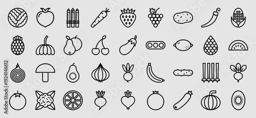 Fresh organic produce and healthy lifestyle icons for grocery apps. Minimalist monoline pictograms of garden vegetables and orchard fruits.