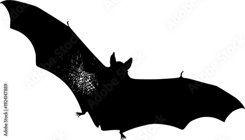 Flight of the Vampire