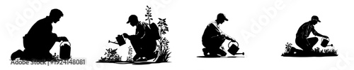 Silhouette of a Dedicated Gardener