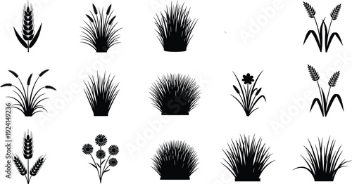Wheat grass and meadow plant silhouettes set, agricultural botanical elements isolated on white background, nature flat vector illustration