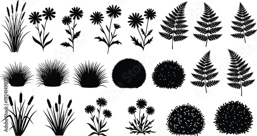 Wild grass flowers and fern silhouettes set, botanical garden plants bushes isolated on white background, nature flat vector illustration