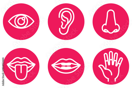 A set of pink icons representing human senses and facial features on a white background