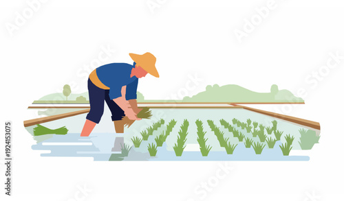 Isometric Farmer Transplanting Rice in Paddy Field Agriculture Vector Design