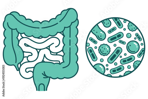 An illustration of the human digestive system and a microscopic view of gut bacteria