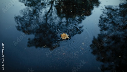 Floating yellow-brown leaf making concentric ripples on dark pond, reflecting branches and debris