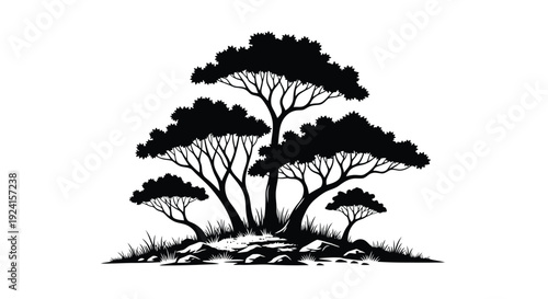 Silhouette of a cluster of pine trees on a rocky hill.