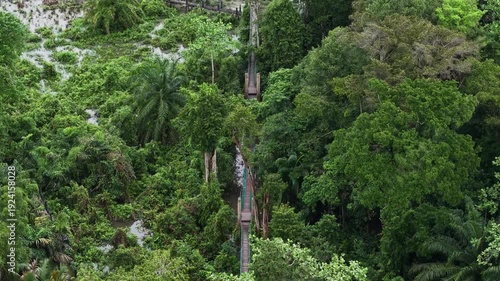 Aerial Sungai Perai Canopy Walkway Through Mangrove Wetland