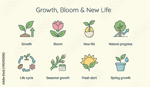 Growth and new life concepts with blooming flowers and plants