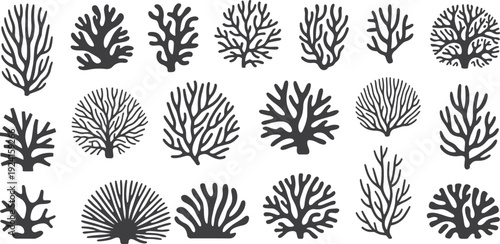 Collection of black and white coral with various branching patterns and shapes