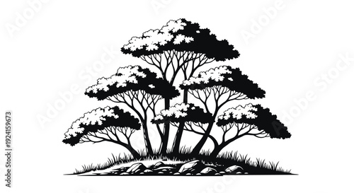 Stylized Black And White Illustration Of A Bonsai Tree.