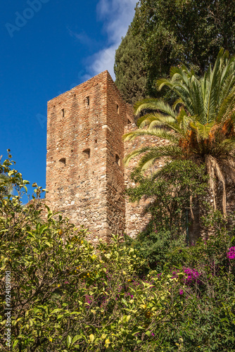View of the historic Alcazaba fortress in Malaga. Moorish military architecture with brick walls, gardens, and arches from the Islamic period in Andalusia, Spain