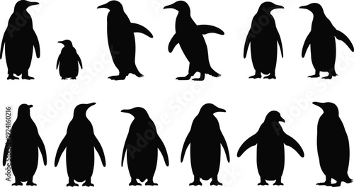 Silhouettes of penguins in various poses on a white background black
