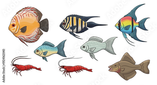 A vibrant collection of illustrated tropical fish and aquatic animals on a clean white background.