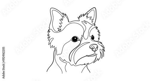 Line Drawing of a Dogs Face.