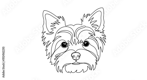 Yorkshire Terrier Dog Face Illustration.