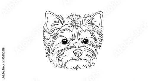 Yorkshire Terrier Dog Face Line Art Illustration.