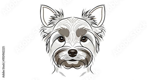 Detailed Illustration of a Dogs Face.