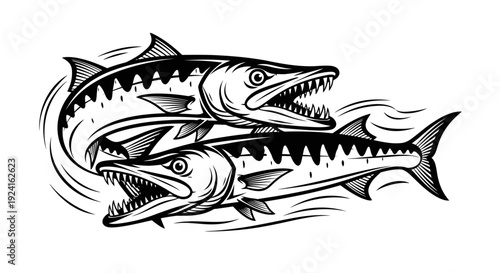 Black and White Illustration of Salmon Fish.