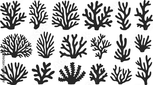 Collection of black and white coral with various shapes and branching patterns