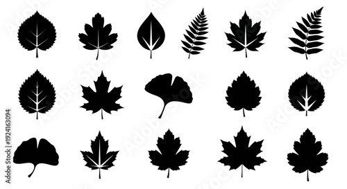 Collection of Various Leaf Silhouettes.