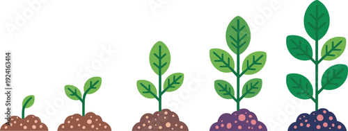 Five stages of green plant growth with brown and purple soil in a row leaves