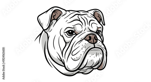 Detailed black and white bulldog illustration.