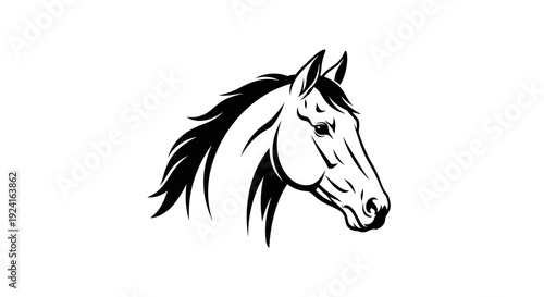 Black and White Horse Head Illustration.