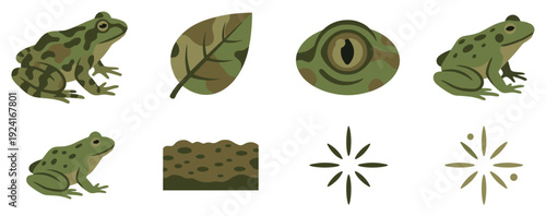 Charming set of green frog and nature icons with a camouflage leaf, amphibian eye, muddy ground, and splash symbols in a simple flat graphic illustration style