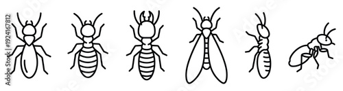 Set of six black line art termite icons showing different castes like worker, soldier, and winged alate from top and side views in a minimalist, clean vector illustration style