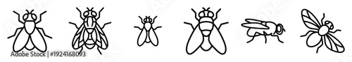 Six simple black outline illustrations of flies presented as a collection of icons in a clean, modern, and minimalist vector style from different perspectives