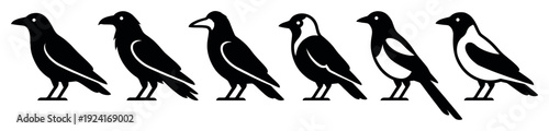 Set of six black bird icons representing corvid species like crows, ravens, and magpies in a minimalist graphic silhouette style for logos or emblems