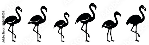Set of six black flamingo silhouettes in various standing poses, presented as a minimalist graphic icon collection for elegant, modern, and tropical design concepts